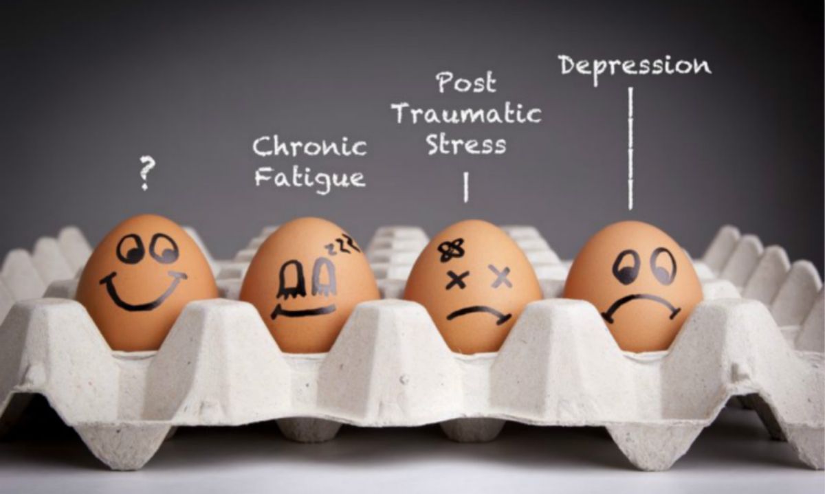 /Index/show/catid/76/id/229.html