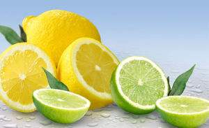 /Index/show/catid/78/id/233.html