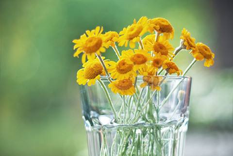 /Index/show/catid/78/id/260.html