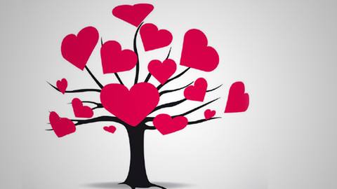 5b67ae7e16b03.jpg timg.jpg